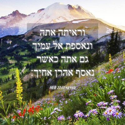 Picture 04 - במדבר 27:13 HEB - וראיתה אתה ונאספת אל עמיך - Bible Verse Picture