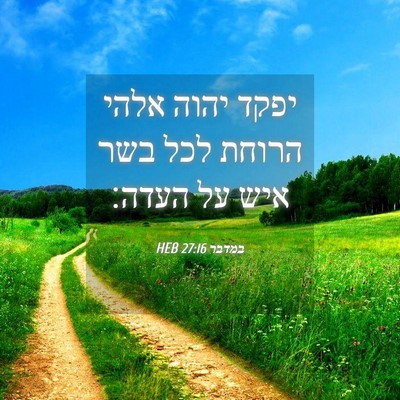 Picture 04 - במדבר 27:16 HEB - יפקד יהוה אלהי הרוחת לכל - Bible Verse Picture