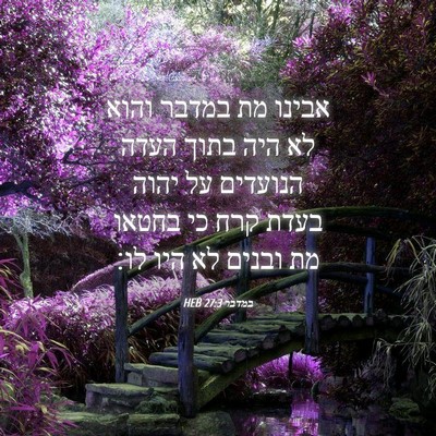 Picture 04 - במדבר 27:3 HEB - אבינו מת במדבר והוא לא היה - Bible Verse Picture