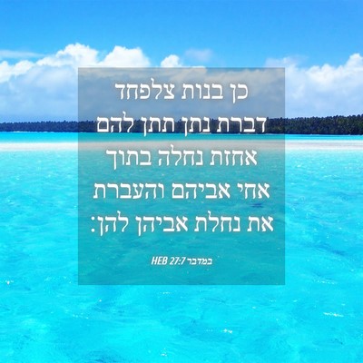 Picture 04 - במדבר 27:7 HEB - כן בנות צלפחד דברת נתן תתן - Bible Verse Picture