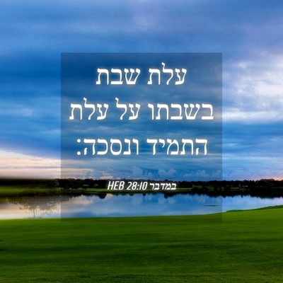Picture 04 - במדבר 28:10 HEB - עלת שבת בשבתו על עלת התמיד - Bible Verse Picture