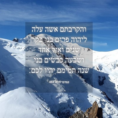 Picture 04 - במדבר 28:19 HEB - והקרבתם אשה עלה ליהוה פרים - Bible Verse Picture