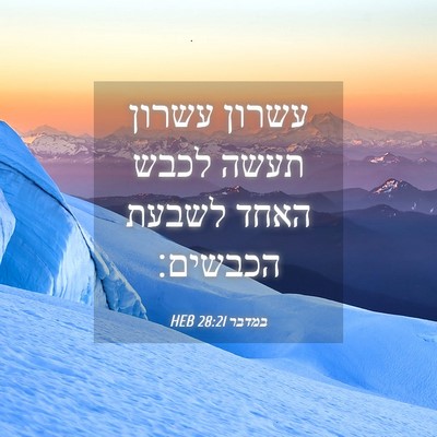 Picture 04 - במדבר 28:21 HEB - עשרון עשרון תעשה לכבש האחד - Bible Verse Picture