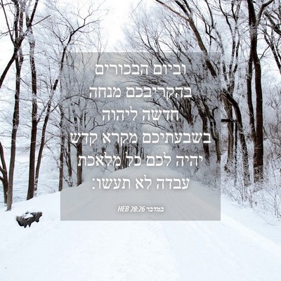 Picture 04 - במדבר 28:26 HEB - וביום הבכורים בהקריבכם - Bible Verse Picture