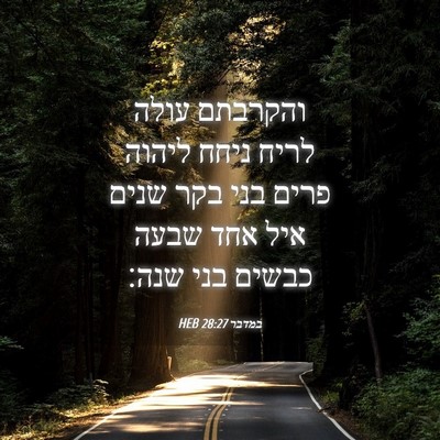 Picture 04 - במדבר 28:27 HEB - והקרבתם עולה לריח ניחח - Bible Verse Picture