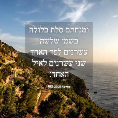 Picture 04 - במדבר 28:28 HEB - ומנחתם סלת בלולה בשמן שלשה - Bible Verse Picture