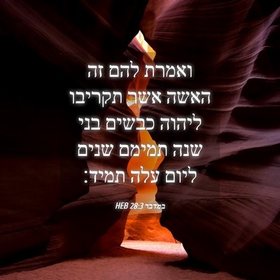 Picture 04 - במדבר 28:3 HEB - ואמרת להם זה האשה אשר - Bible Verse Picture