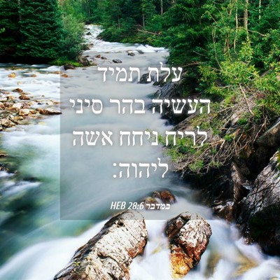 Picture 04 - במדבר 28:6 HEB - עלת תמיד העשיה בהר סיני - Bible Verse Picture