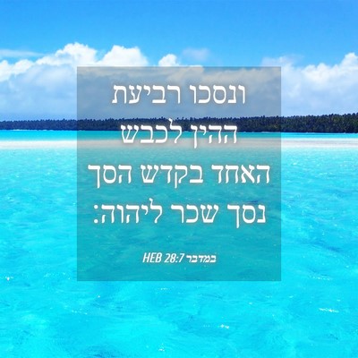 Picture 04 - במדבר 28:7 HEB - ונסכו רביעת ההין לכבש האחד - Bible Verse Picture