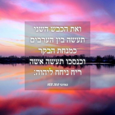 Picture 04 - במדבר 28:8 HEB - ואת הכבש השני תעשה בין - Bible Verse Picture
