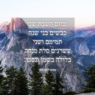 Picture 04 - במדבר 28:9 HEB - וביום השבת שני כבשים בני - Bible Verse Picture