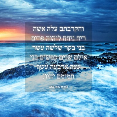 Picture 04 - במדבר 29:13 HEB - והקרבתם עלה אשה ריח ניחח - Bible Verse Picture