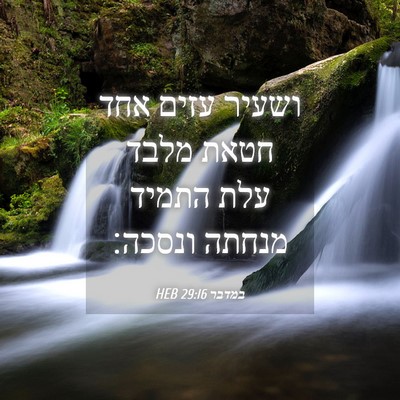 Picture 04 - במדבר 29:16 HEB - ושעיר עזים אחד חטאת מלבד - Bible Verse Picture