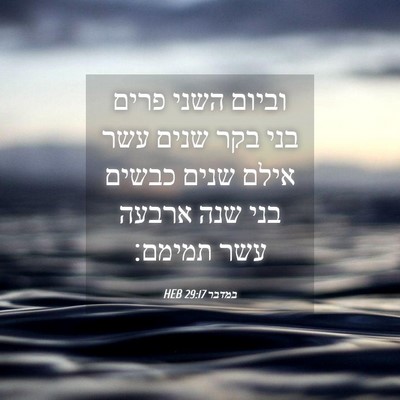 Picture 04 - במדבר 29:17 HEB - וביום השני פרים בני בקר - Bible Verse Picture