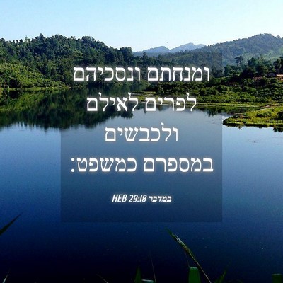 Picture 04 - במדבר 29:18 HEB - ומנחתם ונסכיהם לפרים לאילם - Bible Verse Picture