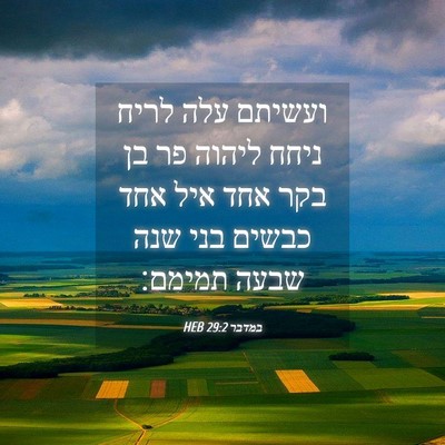 Picture 04 - במדבר 29:2 HEB - ועשיתם עלה לריח ניחח ליהוה - Bible Verse Picture