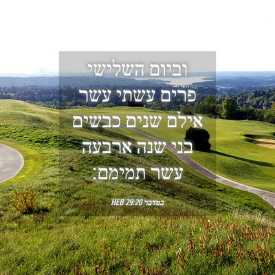 Picture 04 - במדבר 29:20 HEB - וביום השלישי פרים עשתי עשר - Bible Verse Picture