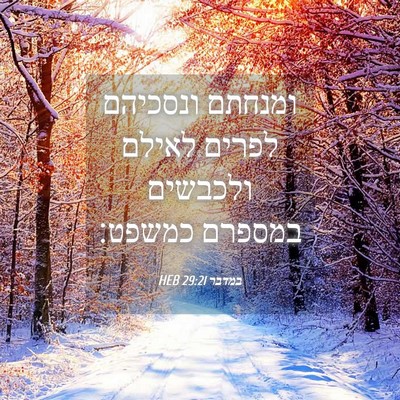 Picture 04 - במדבר 29:21 HEB - ומנחתם ונסכיהם לפרים לאילם - Bible Verse Picture