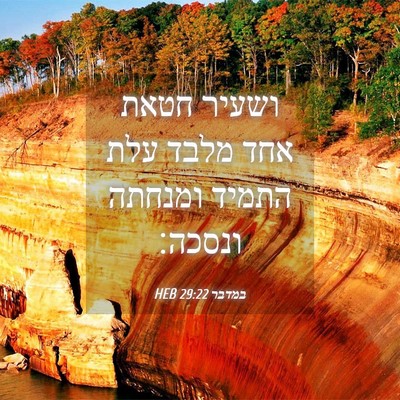 Picture 04 - במדבר 29:22 HEB - ושעיר חטאת אחד מלבד עלת - Bible Verse Picture