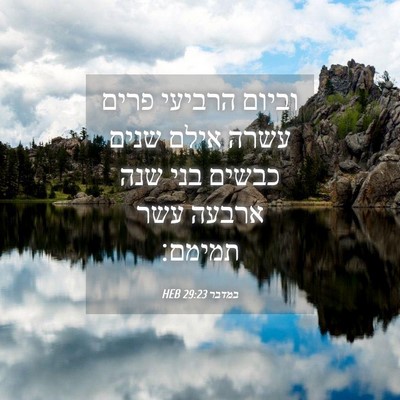 Picture 04 - במדבר 29:23 HEB - וביום הרביעי פרים עשרה - Bible Verse Picture