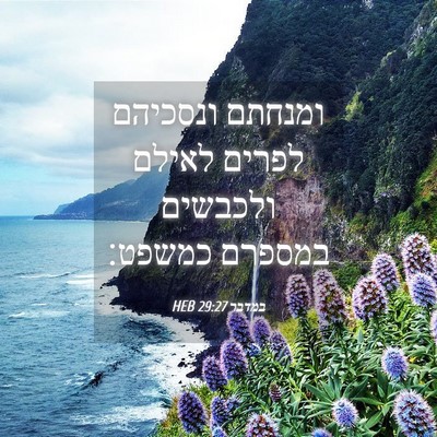 Picture 04 - במדבר 29:27 HEB - ומנחתם ונסכיהם לפרים לאילם - Bible Verse Picture