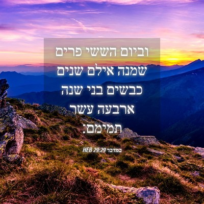 Picture 04 - במדבר 29:29 HEB - וביום הששי פרים שמנה אילם - Bible Verse Picture