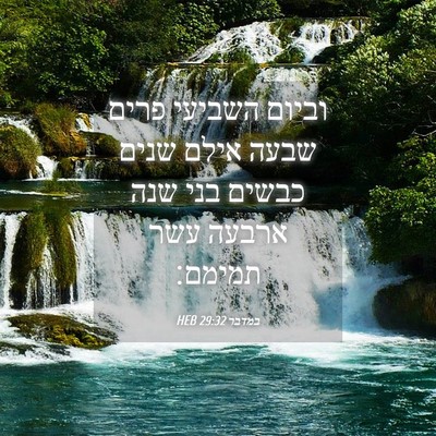 Picture 04 - במדבר 29:32 HEB - וביום השביעי פרים שבעה - Bible Verse Picture