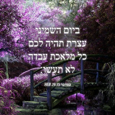 Picture 04 - במדבר 29:35 HEB - ביום השמיני עצרת תהיה לכם - Bible Verse Picture