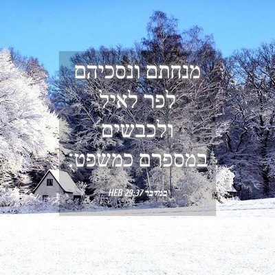 Picture 04 - במדבר 29:37 HEB - מנחתם ונסכיהם לפר לאיל - Bible Verse Picture