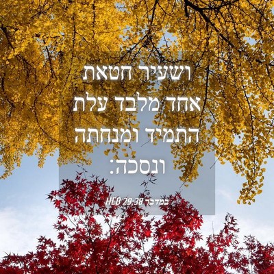 Picture 04 - במדבר 29:38 HEB - ושעיר חטאת אחד מלבד עלת - Bible Verse Picture
