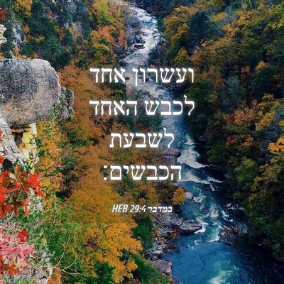 Picture 04 - במדבר 29:4 HEB - ועשרון אחד לכבש האחד לשבעת - Bible Verse Picture