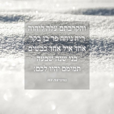 Picture 04 - במדבר 29:8 HEB - והקרבתם עלה ליהוה ריח ניחח - Bible Verse Picture