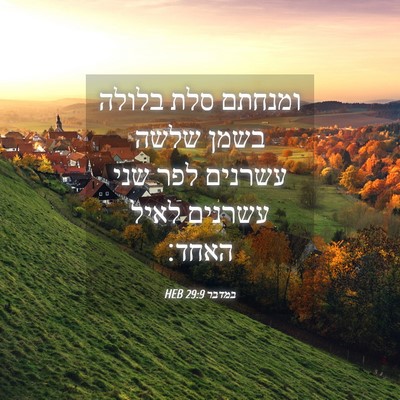 Picture 04 - במדבר 29:9 HEB - ומנחתם סלת בלולה בשמן שלשה - Bible Verse Picture