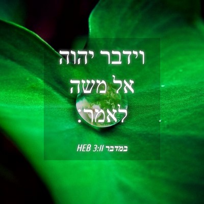 Picture 04 - במדבר 3:11 HEB - וידבר יהוה אל משה - Bible Verse Picture