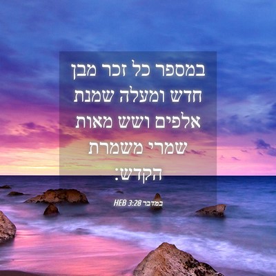 Picture 04 - במדבר 3:28 HEB - במספר כל זכר מבן חדש ומעלה - Bible Verse Picture