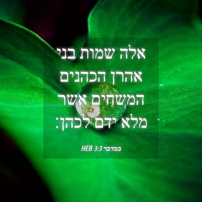 Picture 04 - במדבר 3:3 HEB - אלה שמות בני אהרן הכהנים - Bible Verse Picture