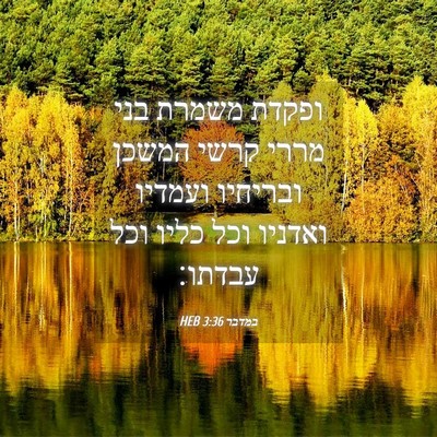 Picture 04 - במדבר 3:36 HEB - ופקדת משמרת בני מררי קרשי - Bible Verse Picture