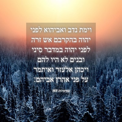 Picture 04 - במדבר 3:4 HEB - וימת נדב ואביהוא לפני יהוה - Bible Verse Picture