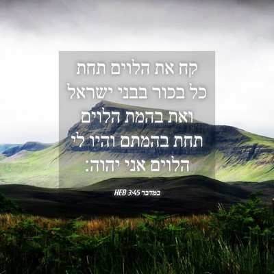 Picture 04 - במדבר 3:45 HEB - קח את הלוים תחת כל בכור - Bible Verse Picture