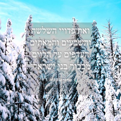 Picture 04 - במדבר 3:46 HEB - ואת פדויי השלשה והשבעים - Bible Verse Picture