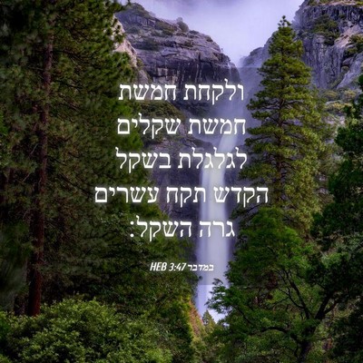 Picture 04 - במדבר 3:47 HEB - ולקחת חמשת חמשת שקלים - Bible Verse Picture