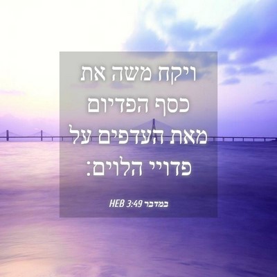 Picture 04 - במדבר 3:49 HEB - ויקח משה את כסף הפדיום מאת - Bible Verse Picture