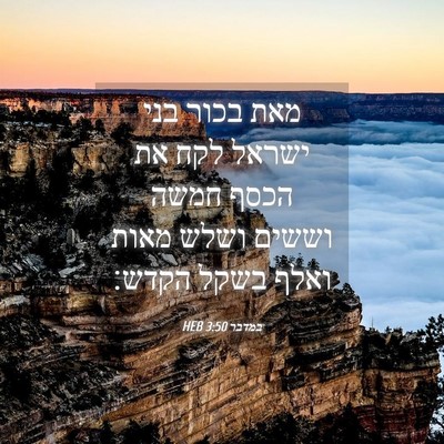 Picture 04 - במדבר 3:50 HEB - מאת בכור בני ישראל לקח את - Bible Verse Picture