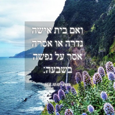 Picture 04 - במדבר 30:10 HEB - ואם בית אישה נדרה או אסרה - Bible Verse Picture