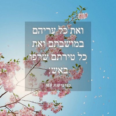Picture 04 - במדבר 31:10 HEB - ואת כל עריהם במושבתם ואת כל - Bible Verse Picture
