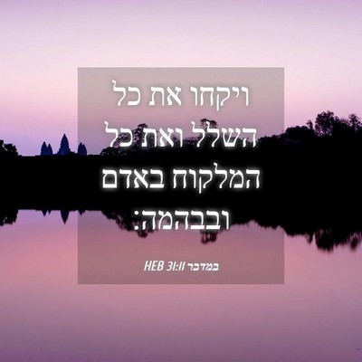 Picture 04 - במדבר 31:11 HEB - ויקחו את כל השלל ואת כל - Bible Verse Picture