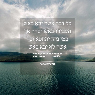 Picture 04 - במדבר 31:23 HEB - כל דבר אשר יבא באש תעבירו - Bible Verse Picture