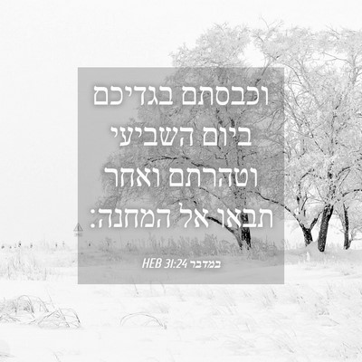 Picture 04 - במדבר 31:24 HEB - וכבסתם בגדיכם ביום השביעי - Bible Verse Picture