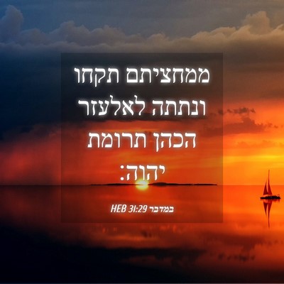Picture 04 - במדבר 31:29 HEB - ממחציתם תקחו ונתתה לאלעזר - Bible Verse Picture