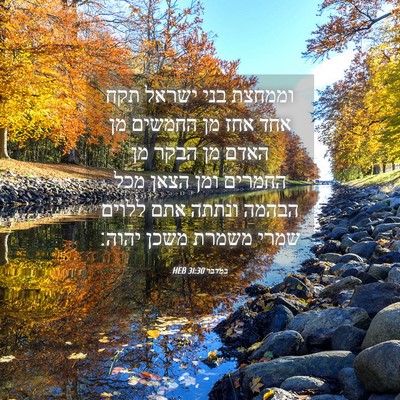 Picture 04 - במדבר 31:30 HEB - וממחצת בני ישראל תקח אחד - Bible Verse Picture